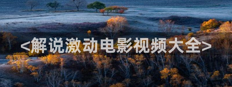 神马伦理第九影院：<解说激动电影视频大全>
