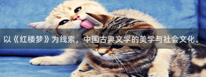 神马电影院在线：以《红楼梦》为线索，中国古典文学的美学与社会文化。