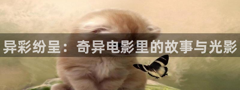 神马影院电视剧免费观看完整版：异彩纷呈：奇异电影里的故事与光影