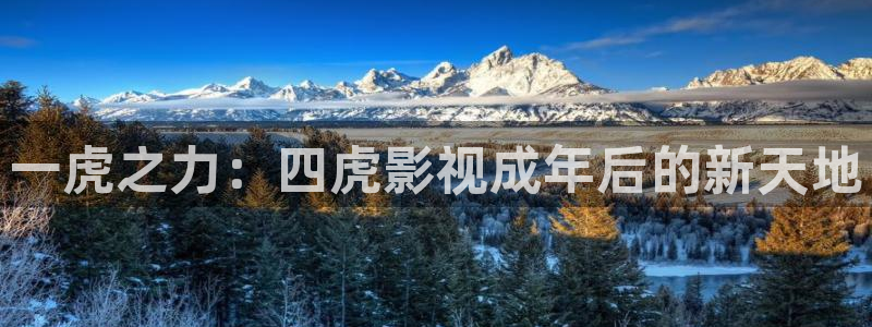 神马都是浮云 电影：一虎之力：四虎影视成年后的新天地