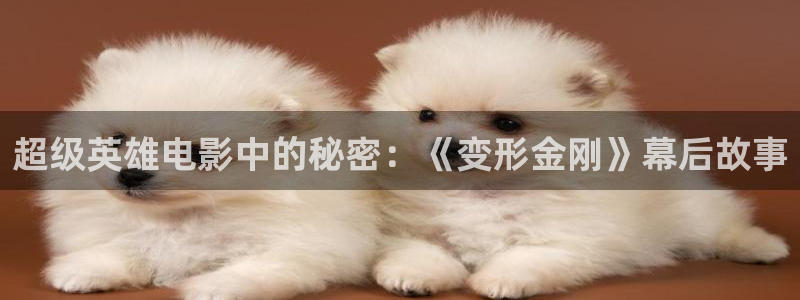 神马影视手机影院在线